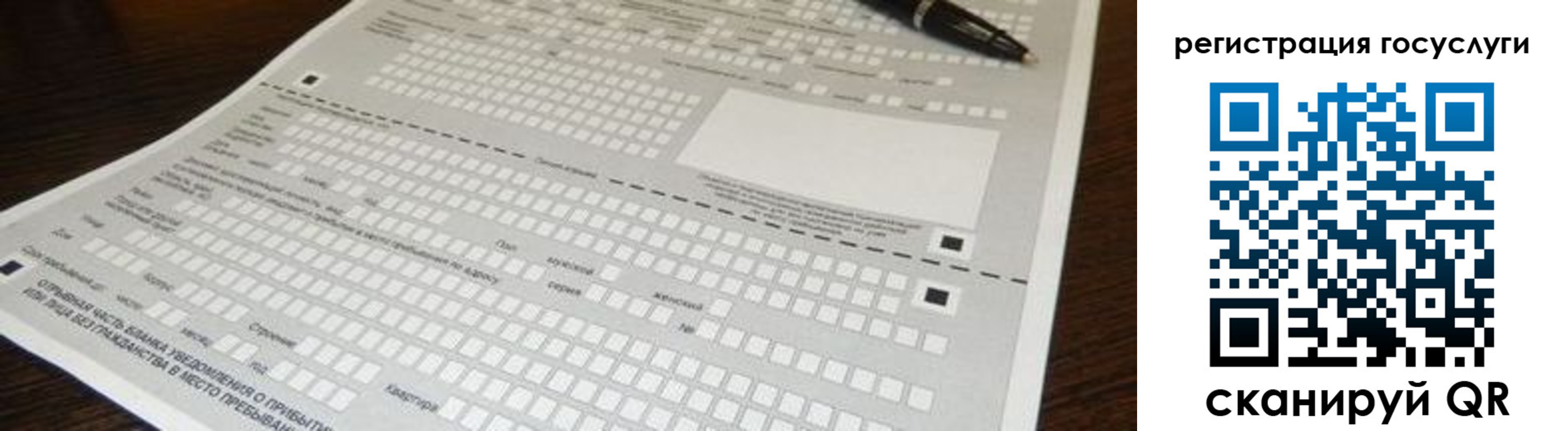 прописка законно в Елизово